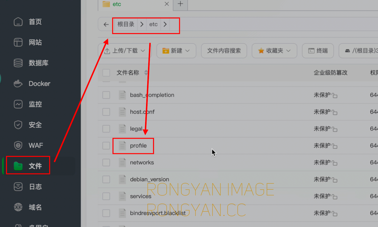 profile文件位置 profile文件位置